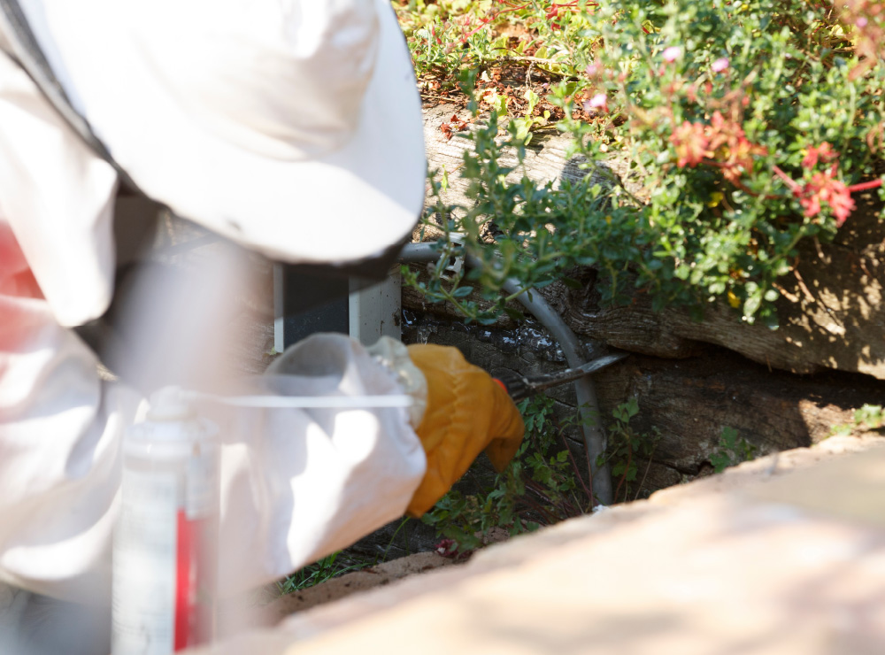 施工のイメージ画像