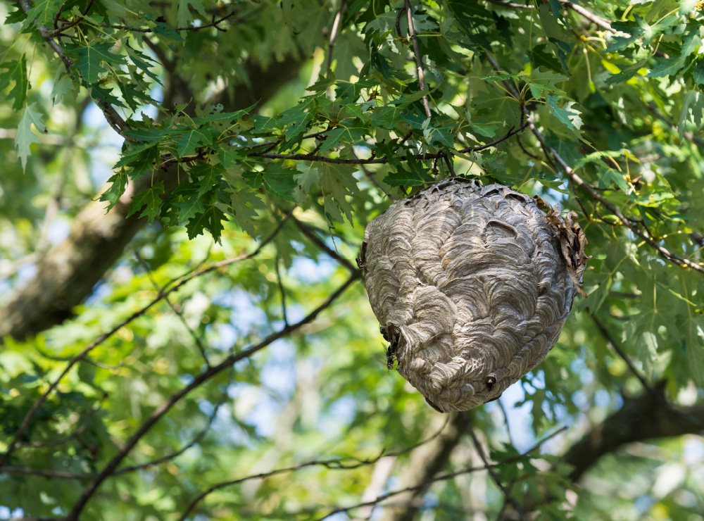 施工のイメージ画像